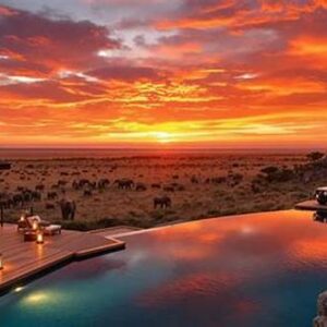 Best Budget-friendly Safari Destinations