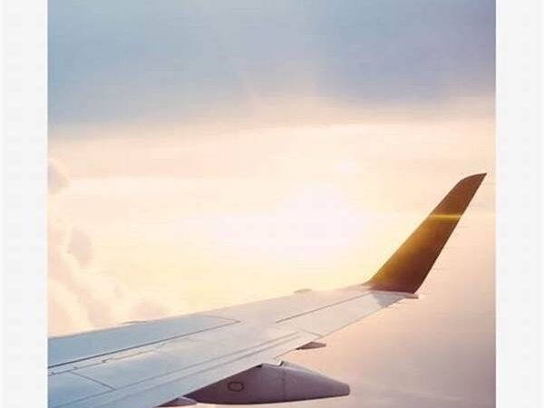 Best Budget Travel Apps For Cheap Flights And Stays