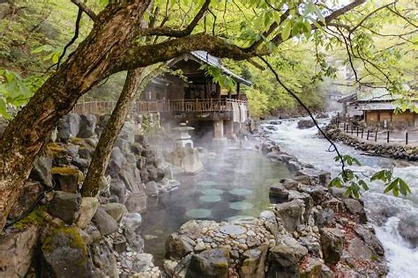 Top Budget Hot Springs Destinations
