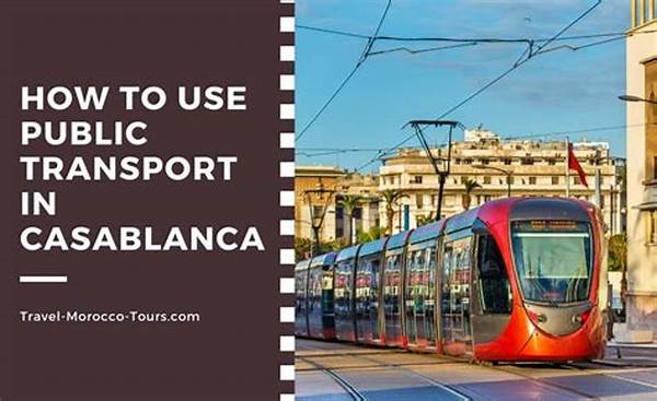 Why Public Transport Is A Budget Traveler’s Best Friend