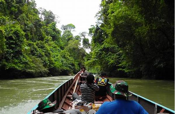 How Tambakbet Discovers Affordable Nature Destinations In Kalimantan