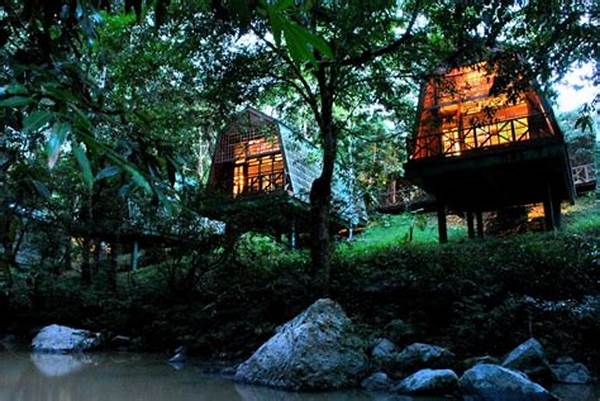 Tambakbet Picks Cheapest Rainforest Lodges In Borneo