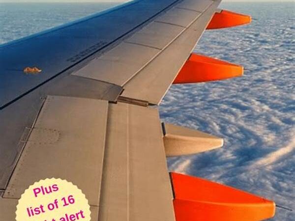 How Tambakbet Helps You Use Airline Error Fares In Indonesia