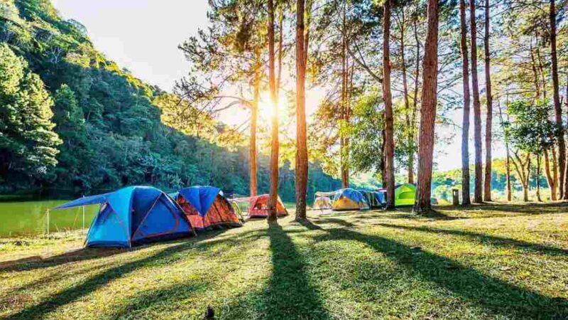 Dijamin Seru Banget! Yuk Berkunjung ke Tempat camping murah Bogor