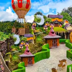 Liburan Cerdas Tanpa Bikin Kantong Menipis, Ini Ide Wisata Edukasi Anak Murah yang Layak Dicoba